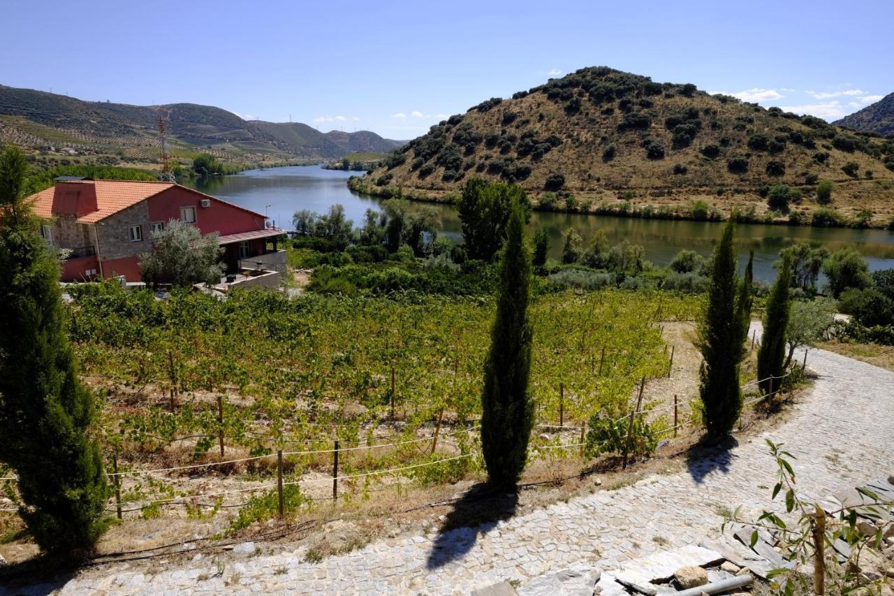 Olhares Do Douro Konuk evi Torre De Moncorvo Dış mekan fotoğraf