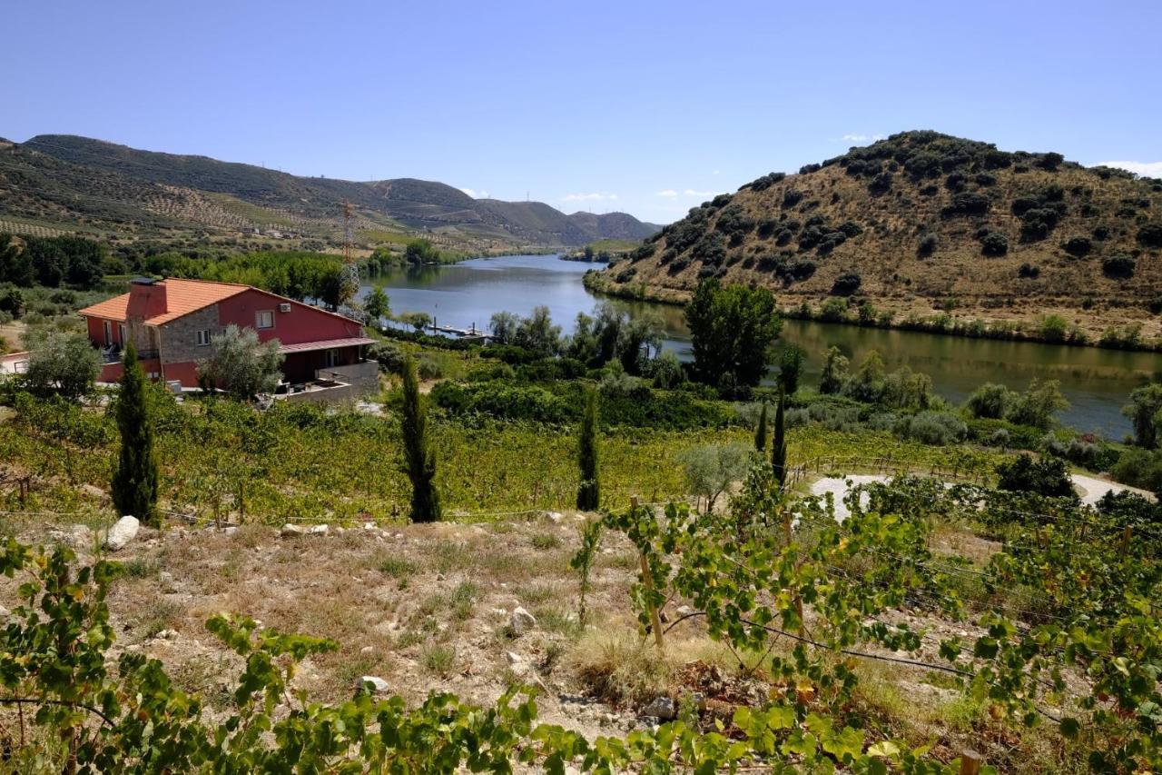 Olhares Do Douro Konuk evi Torre De Moncorvo Dış mekan fotoğraf