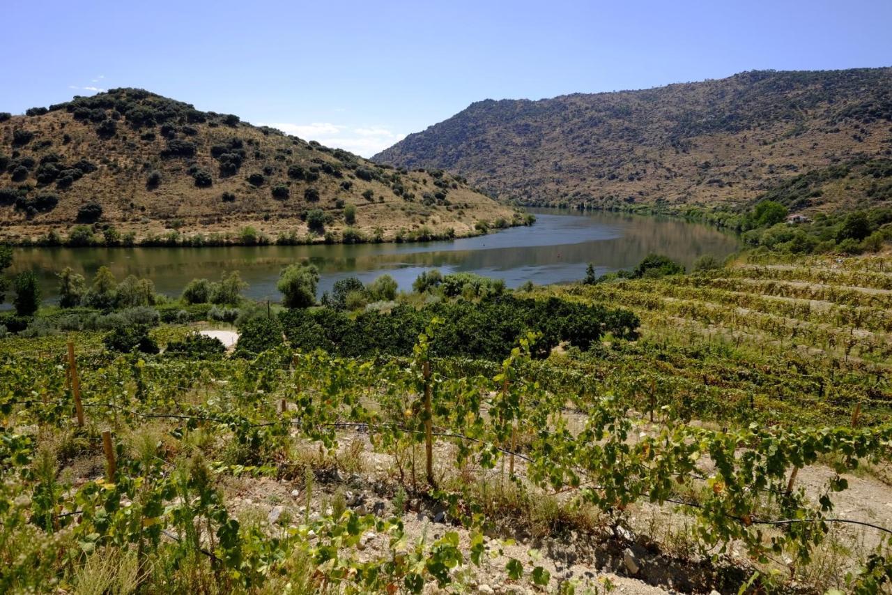 Olhares Do Douro Konuk evi Torre De Moncorvo Dış mekan fotoğraf