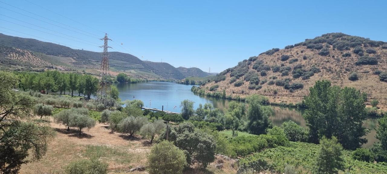 Olhares Do Douro Konuk evi Torre De Moncorvo Dış mekan fotoğraf