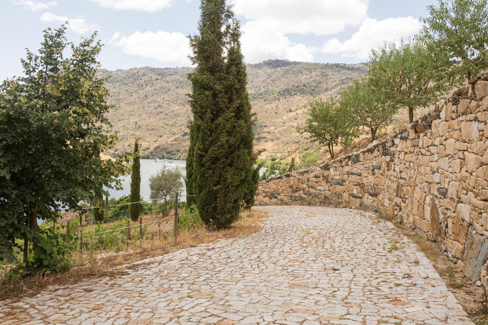 Olhares Do Douro Konuk evi Torre De Moncorvo Dış mekan fotoğraf