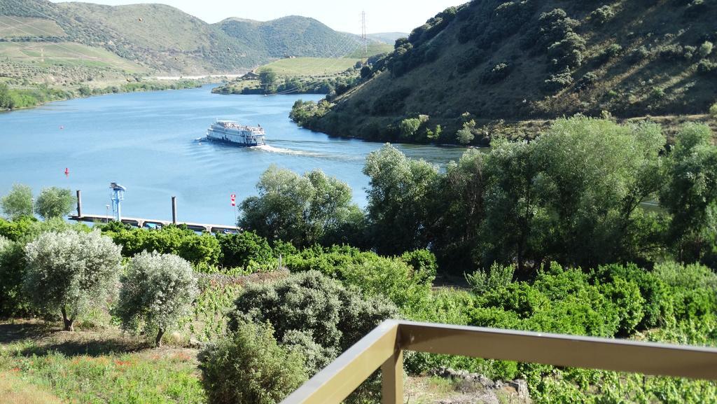 Olhares Do Douro Konuk evi Torre De Moncorvo Dış mekan fotoğraf