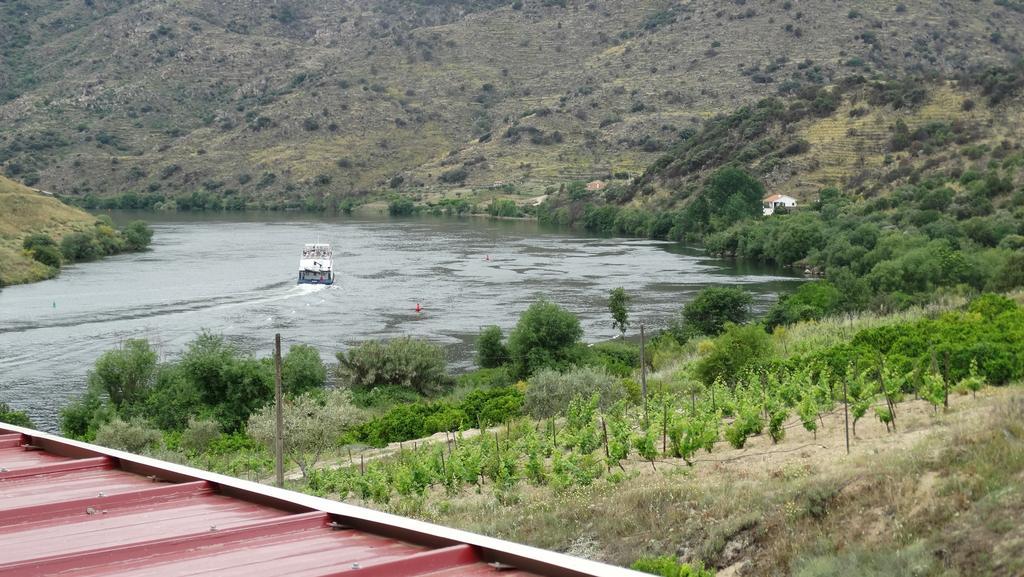 Olhares Do Douro Konuk evi Torre De Moncorvo Dış mekan fotoğraf