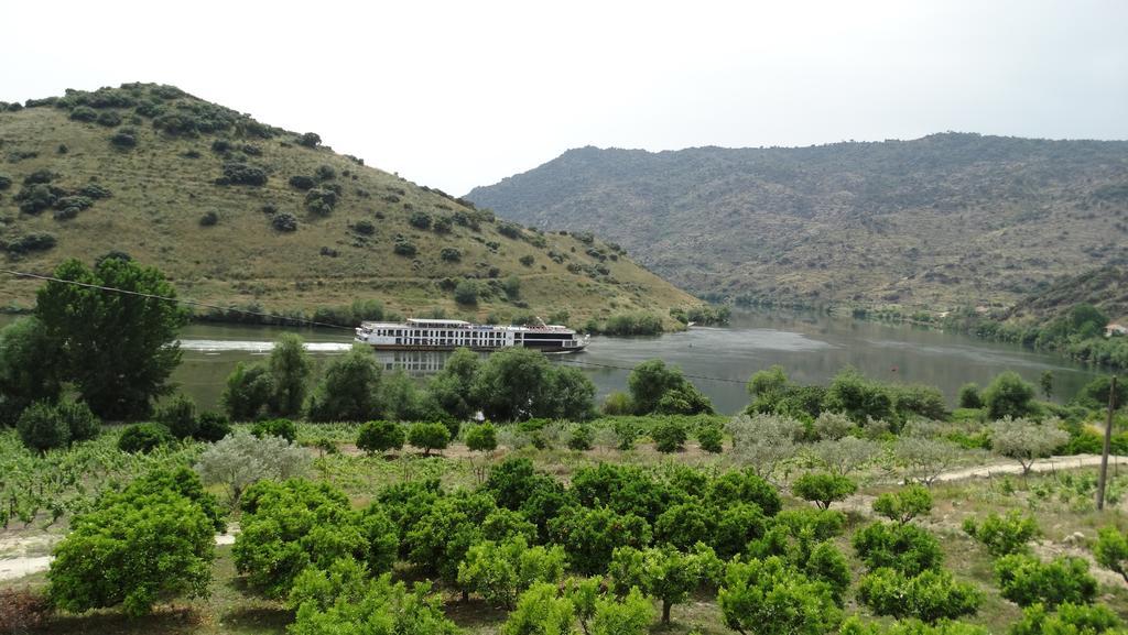 Olhares Do Douro Konuk evi Torre De Moncorvo Dış mekan fotoğraf
