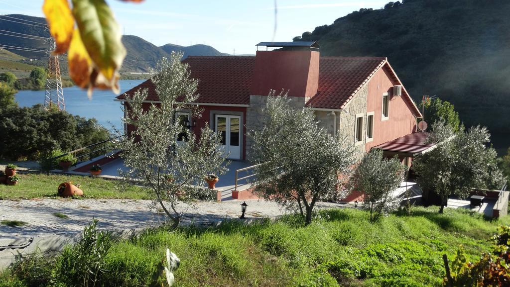Olhares Do Douro Konuk evi Torre De Moncorvo Dış mekan fotoğraf