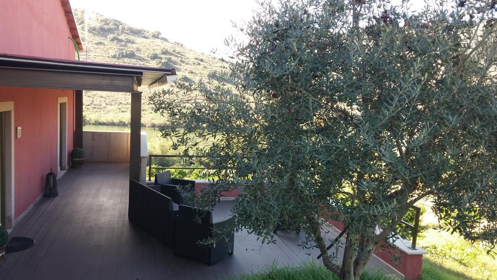 Olhares Do Douro Konuk evi Torre De Moncorvo Dış mekan fotoğraf